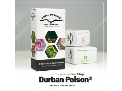 Durban Poison® | Dutch Passion