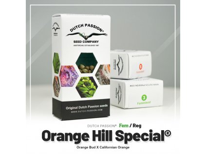 Orange Hill Special® | Dutch Passion ((Ks) Feminized 10 + 3 Zdarma)