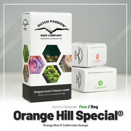 Orange Hill Special® | Dutch Passion