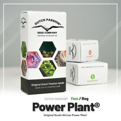 Power Plant | Dutch Passion