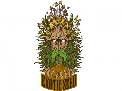 Hippie Therapy CBD (USA) | Exotic Seeds