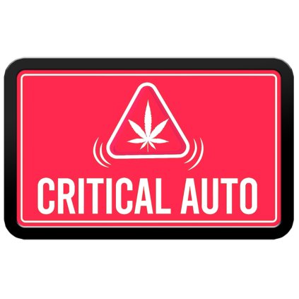 Original AUTO Critical | Fast Buds
