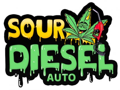 Original AUTO Sour Diesel | Fast Buds