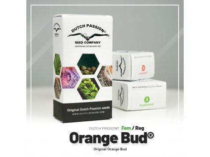 Orange Bud® | Dutch Passion