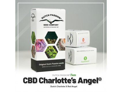 Charlotte's Angel® CBD | Dutch Passion