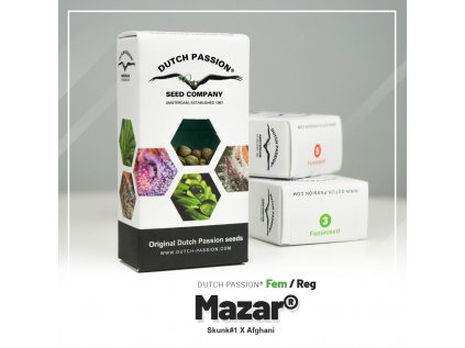 Mazar® | Dutch Passion