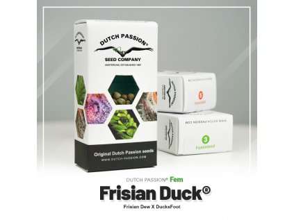 Frisian Duck® | Dutch Passion