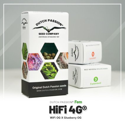 HiFi 4G® | Dutch Passion