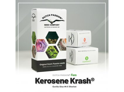Kerosene Krash® | Dutch Passion