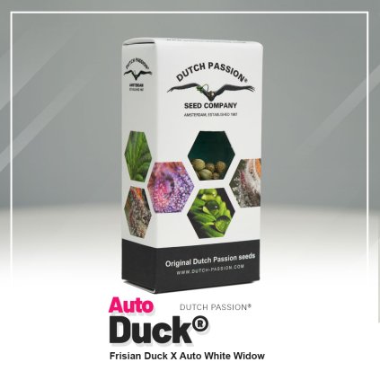 Duck® AUTO | Dutch Passion