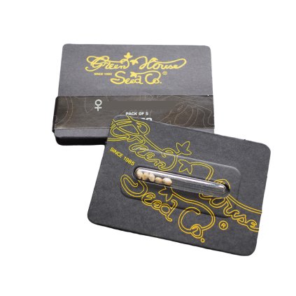 Super Critical AUTO Auto – samonakvétací semena | Green House Seeds