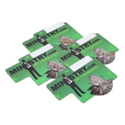 Cannabis Light AUTO CBD Auto – samonakvétací semena | Ministry Of Cannabis