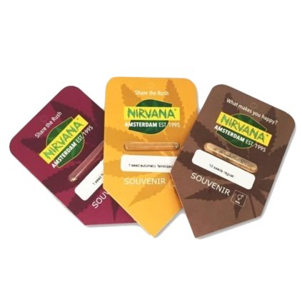 Black Jack – feminizovaná semena | Nirvana Seeds