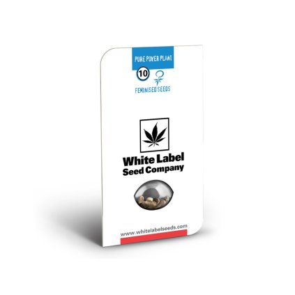 Pure Power Plant - White Label – feminizovaná semena | Sensi Seeds
