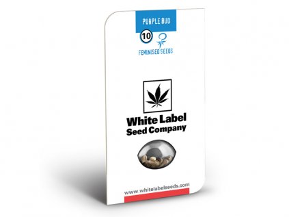 Purple Bud - White Label | Sensi Seeds