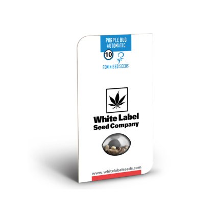 Purple Bud Automatic - White Label | Sensi Seeds