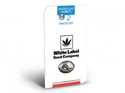 White Diesel Haze AUTO - White Label | Sensi Seeds ((Ks) Feminized 5 + 1 Zdarma)