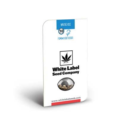 White Ice - White Label | Sensi Seeds