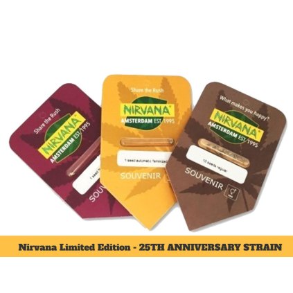 Super Silver Haze – feminizovaná semena | Nirvana Seeds