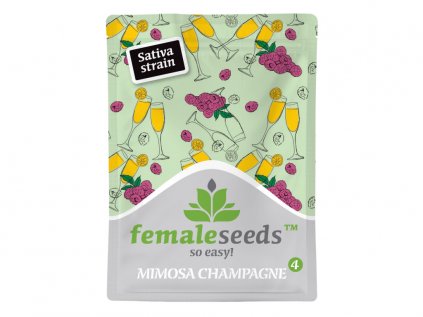 Mimosa Champagne | Female Seeds