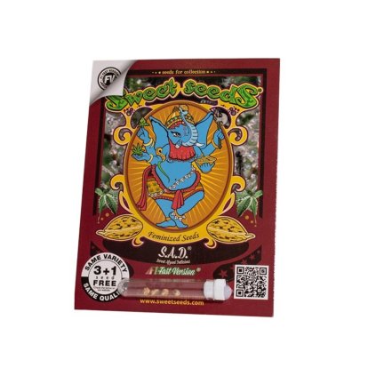 S.A.D. Sweet Afgani Delicious F1 FAST Version® | Sweet Seeds