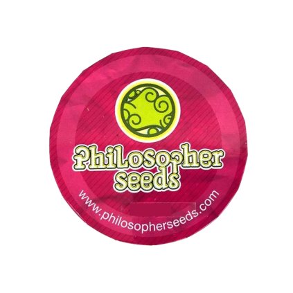 Cheesy AUTO CBD Auto – samonakvétací semena | Philosopher Seeds