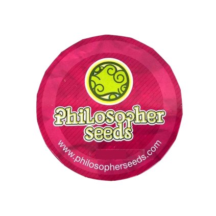 Cheesy AUTO CBD | Philosopher Seeds