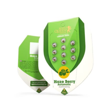 Haze Berry AUTO – samonakvétací semena | Royal Queen Seeds