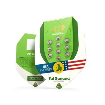 Fat Banana AUTO Auto – samonakvétací semena | Royal Queen Seeds