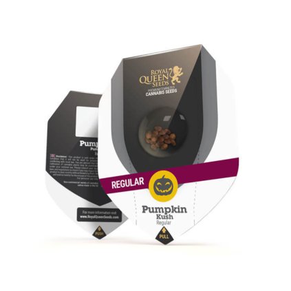 Pumpkin Kush - Reg. – feminizovaná semena | Royal Queen Seeds