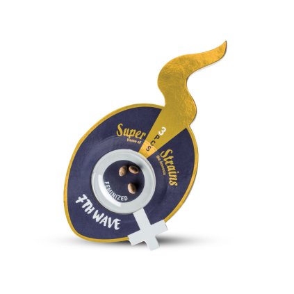 7th Wave – feminizovaná semena | Super Strains