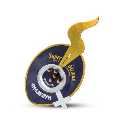 Amajikoym – feminizovaná semena | Super Strains