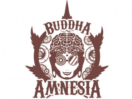 Amnesia | Buddha Seeds ((Ks) Feminized 1)