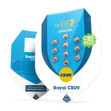 Royal AUTO CBDV | Royal Queen Seeds