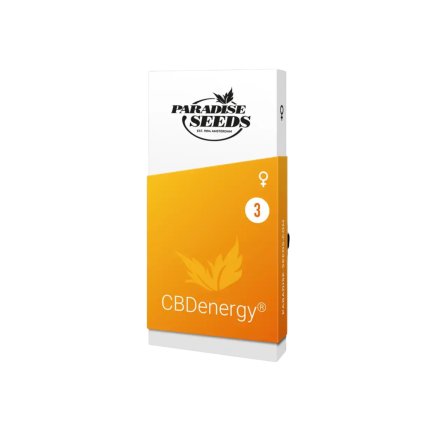 Energy CBD – feminizovaná semena | Paradise Seeds