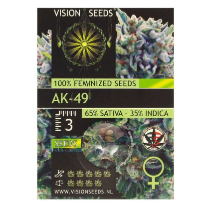 AK 49 | Vision Seeds