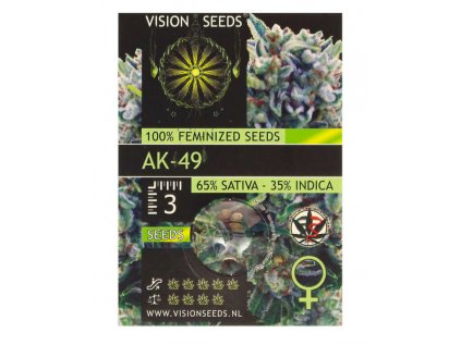 AK 49 | Vision Seeds