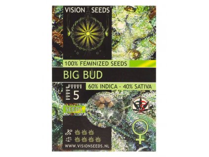 Big Bud | Vision Seeds