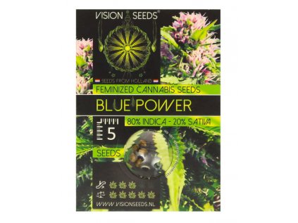 Blue Power | Vision Seeds