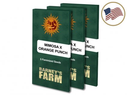 Mimosa X Orange Punch™ | Barneys Farm ((Ks) Feminized 3 + 1 Zdarma)