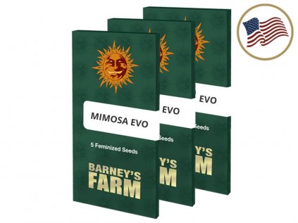 Mimosa EVO™ | Barneys Farm ((Ks) Feminized 10 + 3 Zdarma)