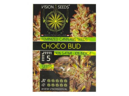 Choco Bud | Vision Seeds