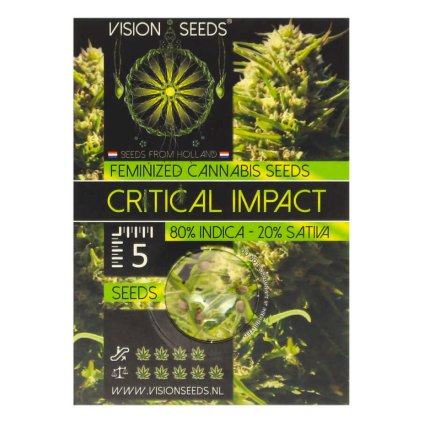 Critical Impact – feminizovaná semena | Vision Seeds