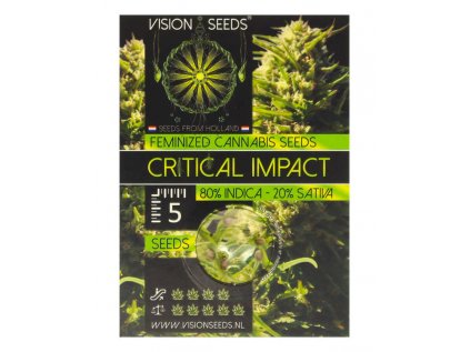 Critical Impact | Vision Seeds