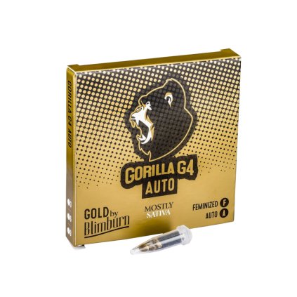 Gorilla Glue #4 AUTO Auto – samonakvétací semena | Blimburn Seeds
