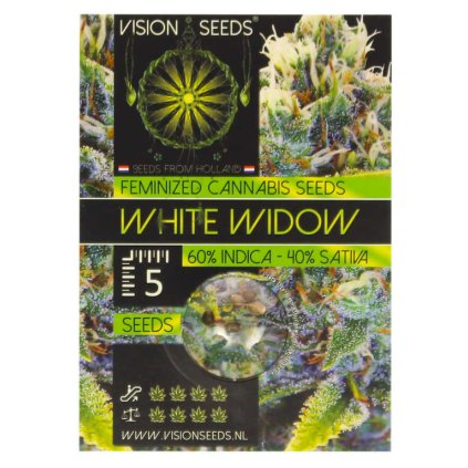 White Widow – feminizovaná semena | Vision Seeds