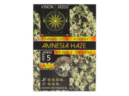 Amnesia Haze AUTO | Vision Seeds