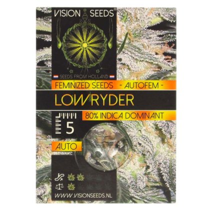 Low Ryder AUTO | Vision Seeds