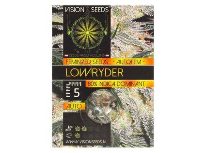 Low Ryder AUTO | Vision Seeds