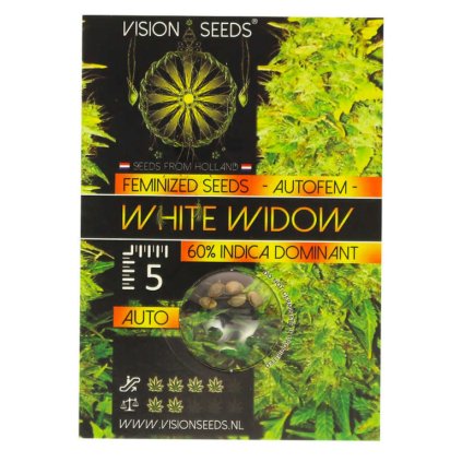 White Widow AUTO Auto – samonakvétací semena | Vision Seeds